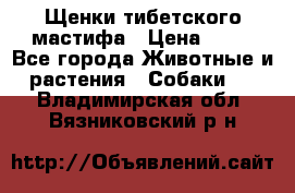 Щенки тибетского мастифа › Цена ­ 80 - Все города Животные и растения » Собаки   . Владимирская обл.,Вязниковский р-н